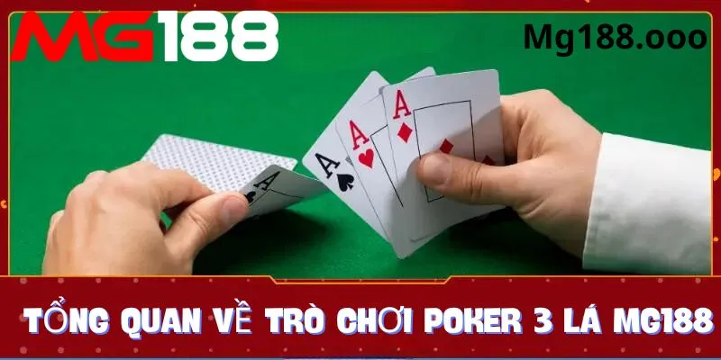 Tổng quan về poker 3 lá của nhà cái Mg188