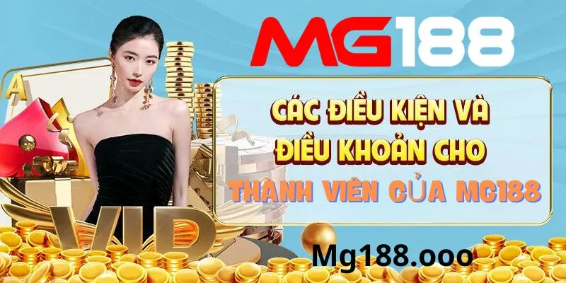 Những điều khoản và điều kiện chung tại nhà cái