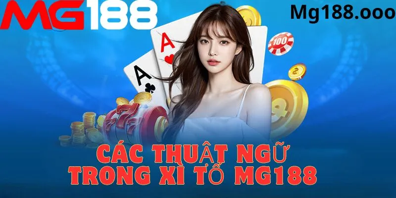 Chia sẻ kinh nghiệm khi chơi game xì tố